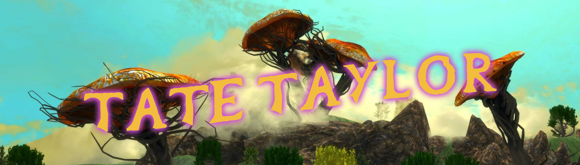 Tate Taylor